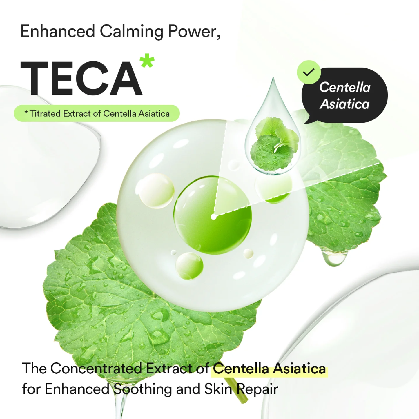 ABIB Heartleaf TECA Capsule Serum Calming Drop 50ml