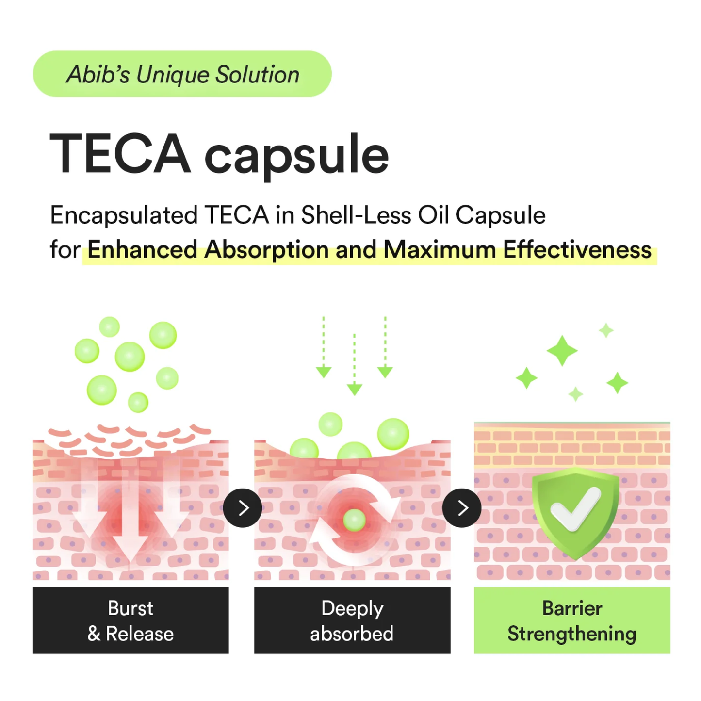 ABIB Heartleaf TECA Capsule Serum Calming Drop 50ml